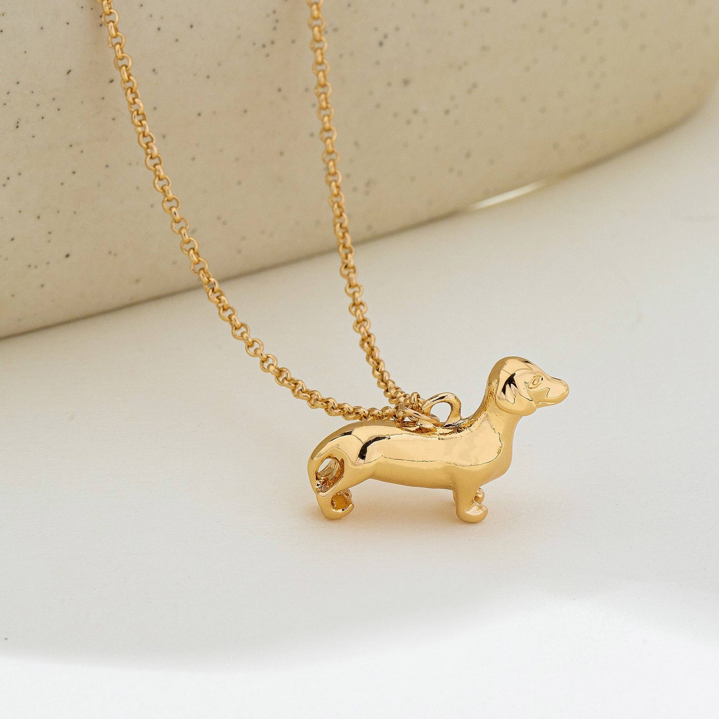 Gold-Tone Dachshund Dog Pendant Necklace | 80N93008